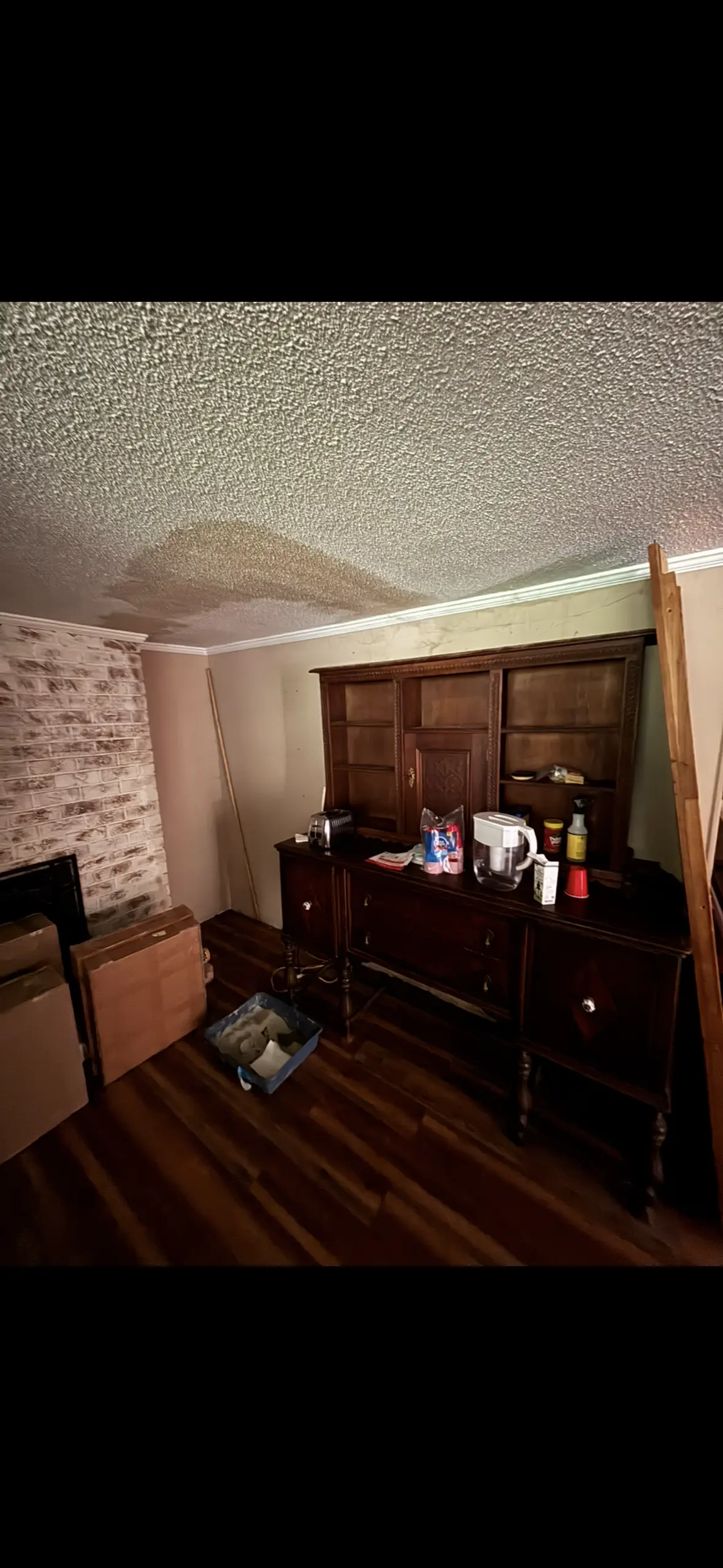 Mold damage along baseboard in Clanton Park home